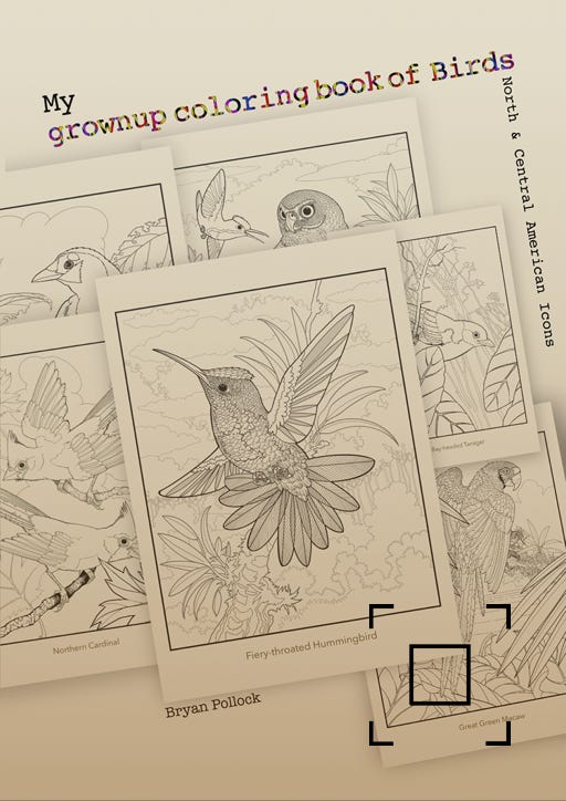 Birds of North and central America coloring book