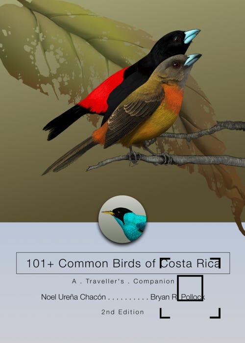 ebook avaialble at apple books and kindle. downloadable onto your apple iOS and OS devices on the book app. And onto you ios , OS and android and kindle fire devices. 