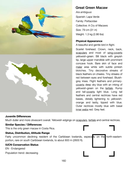 sunnbittern  101+ Common birds of costa rica