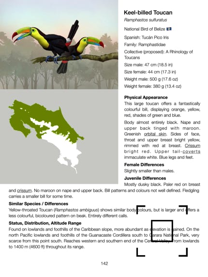 Gray cowled woodrail 101+ Common birds of costa rica